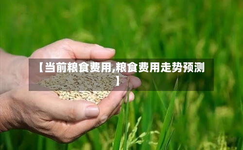 【当前粮食费用,粮食费用走势预测】