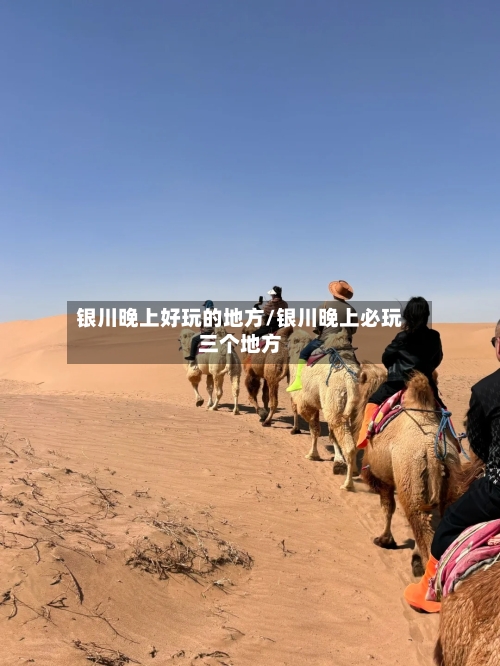 银川晚上好玩的地方/银川晚上必玩三个地方