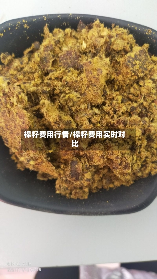 棉籽费用行情/棉籽费用实时对比