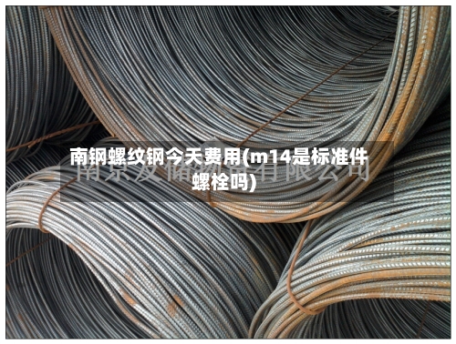 南钢螺纹钢今天费用(m14是标准件螺栓吗)-第2张图片