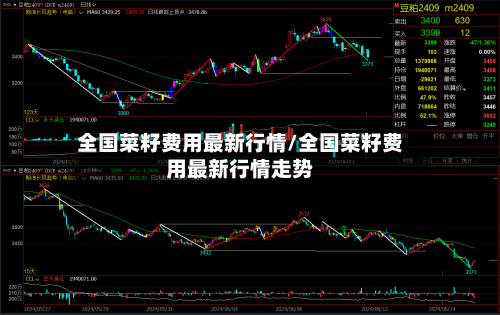 全国菜籽费用最新行情/全国菜籽费用最新行情走势-第3张图片