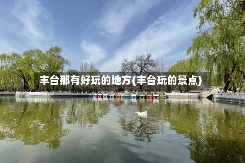 丰台那有好玩的地方(丰台玩的景点)-第2张图片