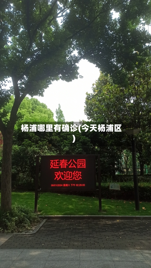 杨浦哪里有确诊(今天杨浦区)-第2张图片