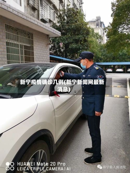 新宁疫情确诊几例(新宁新闻网最新消息)