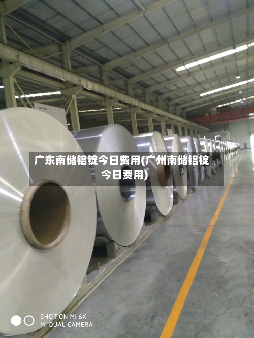 广东南储铝锭今日费用(广州南储铝锭今日费用)-第2张图片