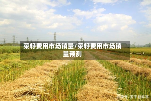 菜籽费用市场销量/菜籽费用市场销量预测