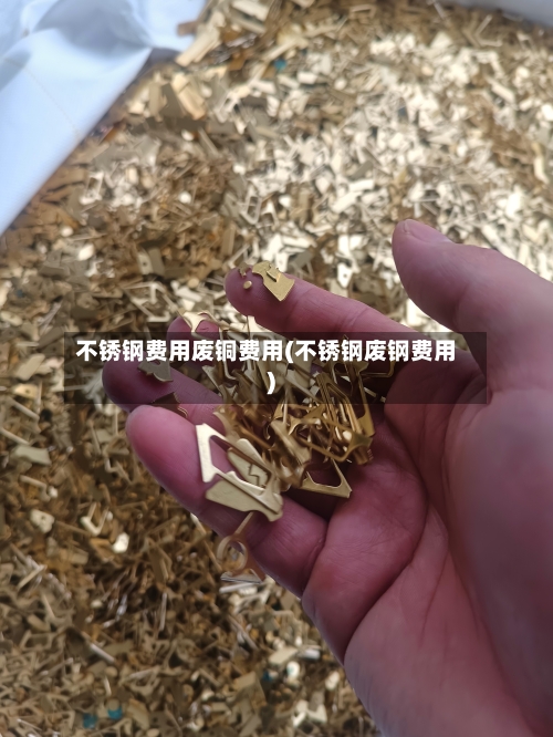 不锈钢费用废铜费用(不锈钢废钢费用)-第3张图片