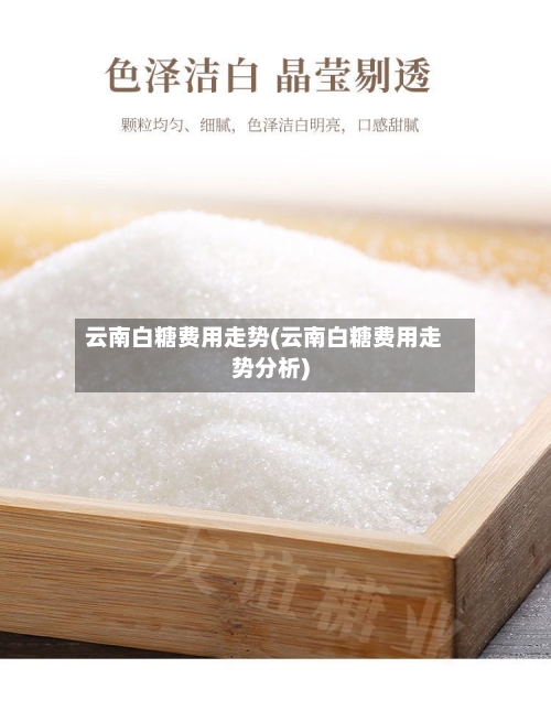 云南白糖费用走势(云南白糖费用走势分析)