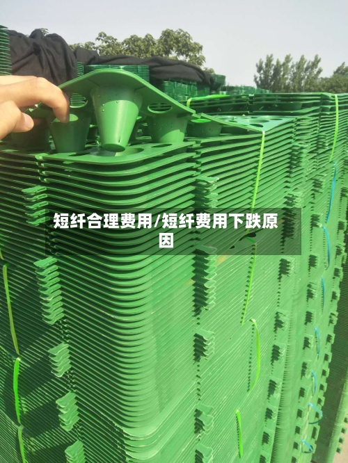 短纤合理费用/短纤费用下跌原因-第2张图片