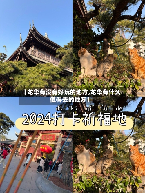 【龙华有没有好玩的地方,龙华有什么值得去的地方】