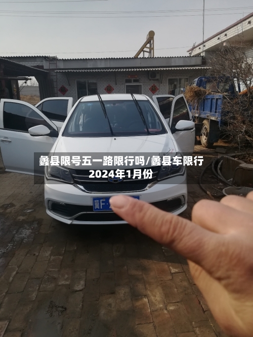 蠡县限号五一路限行吗/蠡县车限行2024年1月份-第2张图片