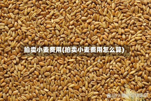 拍卖小麦费用(拍卖小麦费用怎么算)-第2张图片