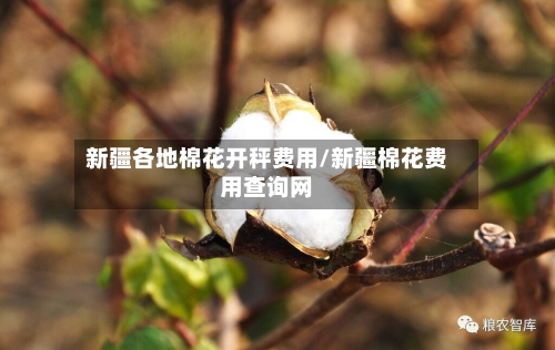 新疆各地棉花开秤费用/新疆棉花费用查询网