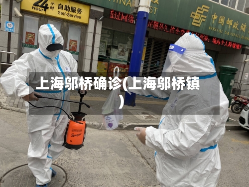 上海邬桥确诊(上海邬桥镇)-第2张图片