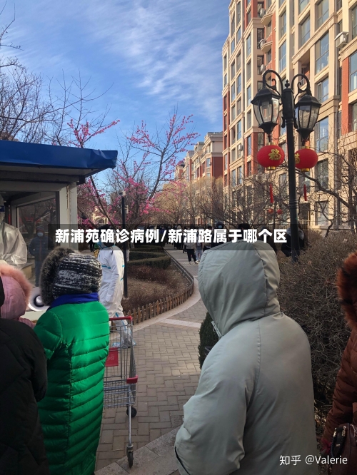 新浦苑确诊病例/新浦路属于哪个区