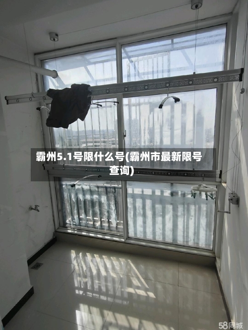霸州5.1号限什么号(霸州市最新限号查询)-第3张图片