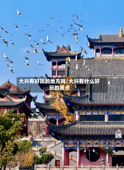 大兴有好玩的地方吗/大兴有什么好玩的景点