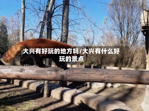 大兴有好玩的地方吗/大兴有什么好玩的景点-第2张图片