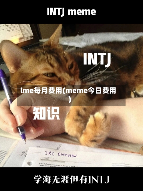 lme每月费用(meme今日费用)