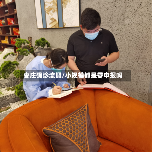 枣庄确诊流调/小规模都是零申报吗-第3张图片