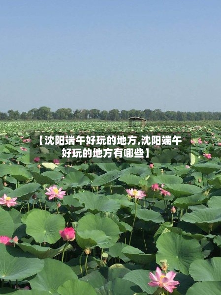 【沈阳端午好玩的地方,沈阳端午好玩的地方有哪些】-第2张图片