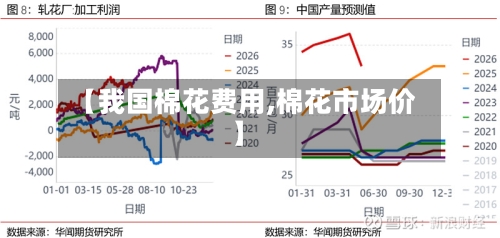 【我国棉花费用,棉花市场价】-第2张图片