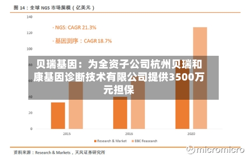 贝瑞基因:为全资子公司杭州贝瑞和康基因诊断技术有限公司提供3500万元担保-第3张图片