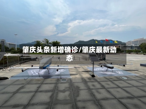 肇庆头条新增确诊/肇庆最新动态-第3张图片