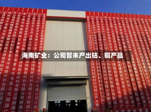 海南矿业：公司暂未产出钴、铜产品