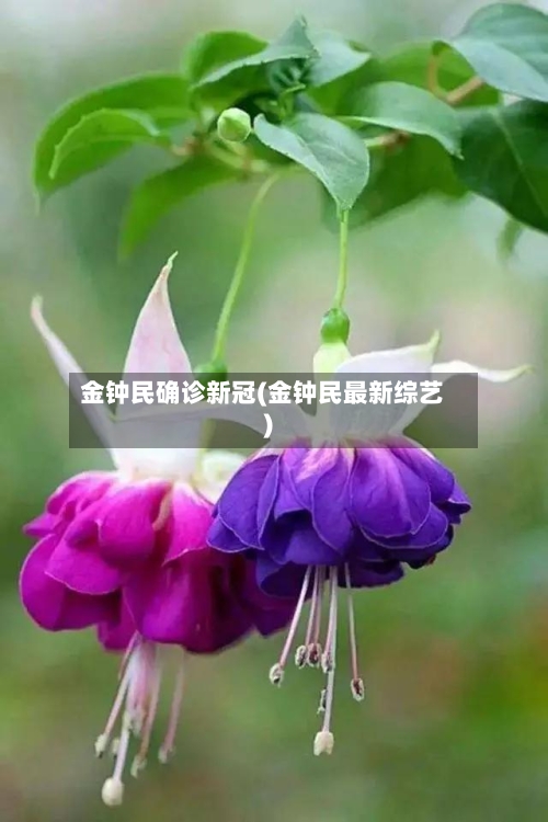 金钟民确诊新冠(金钟民最新综艺)-第2张图片