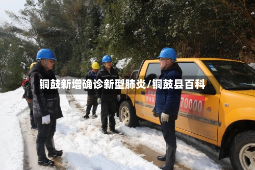铜鼓新增确诊新型肺炎/铜鼓县百科