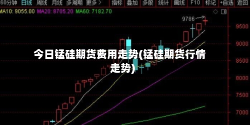 今日锰硅期货费用走势(锰硅期货行情走势)-第2张图片