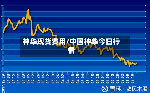 神华现货费用/中国神华今日行情-第3张图片