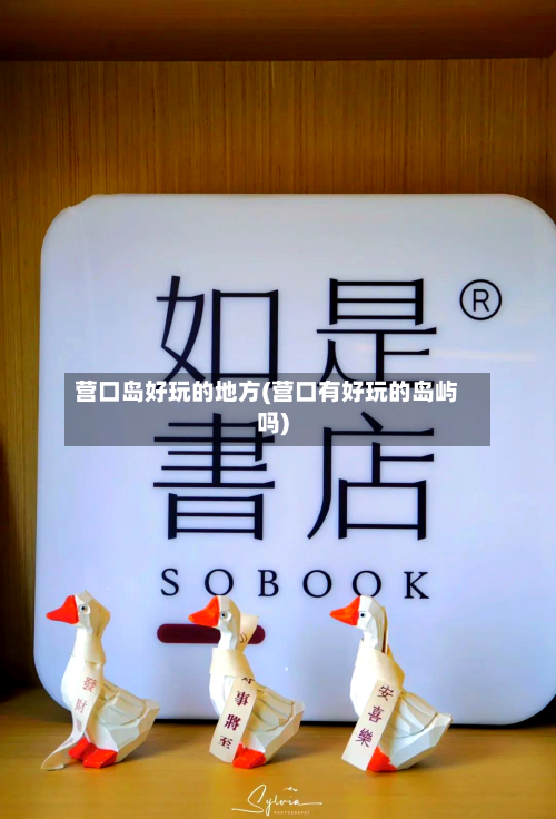 营口岛好玩的地方(营口有好玩的岛屿吗)