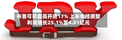 布鲁可早盘高开逾17% 上半年经调整利润增长25.1%至4.01亿元-第1张图片