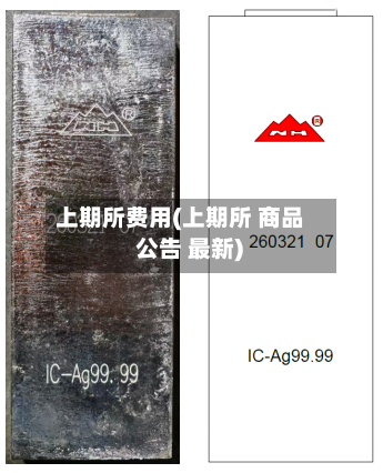 上期所费用(上期所 商品 公告 最新)-第2张图片