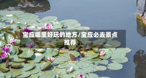 宝应哪里好玩的地方/宝应必去景点推荐-第2张图片