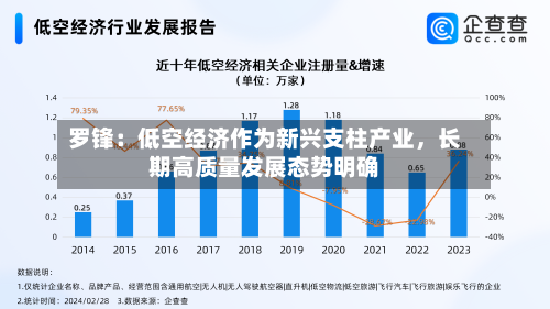 罗锋：低空经济作为新兴支柱产业	，长期高质量发展态势明确-第3张图片