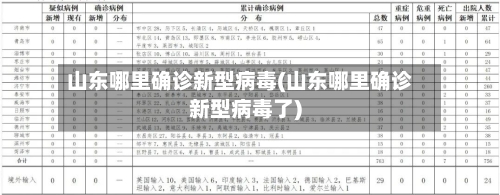 山东哪里确诊新型病毒(山东哪里确诊新型病毒了)