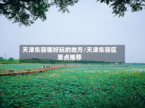 天津东丽哪好玩的地方/天津东丽区景点推荐-第3张图片