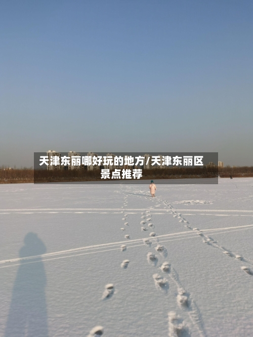 天津东丽哪好玩的地方/天津东丽区景点推荐-第2张图片