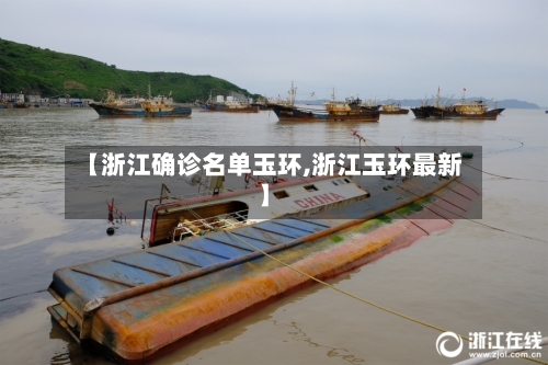 【浙江确诊名单玉环,浙江玉环最新】-第3张图片