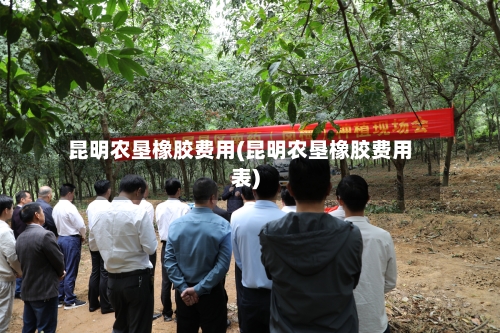 昆明农垦橡胶费用(昆明农垦橡胶费用表)