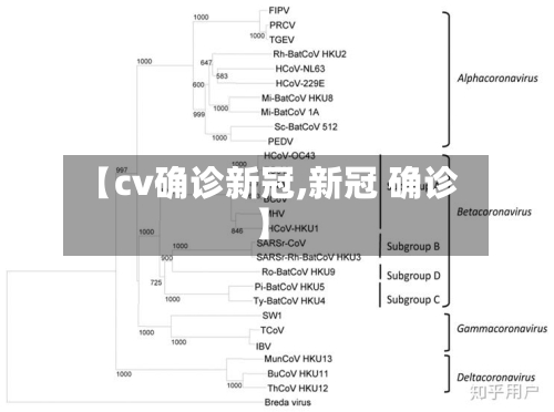 【cv确诊新冠,新冠 确诊】