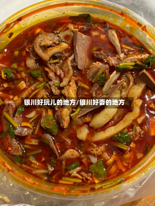 银川好玩儿的地方/银川好耍的地方-第2张图片