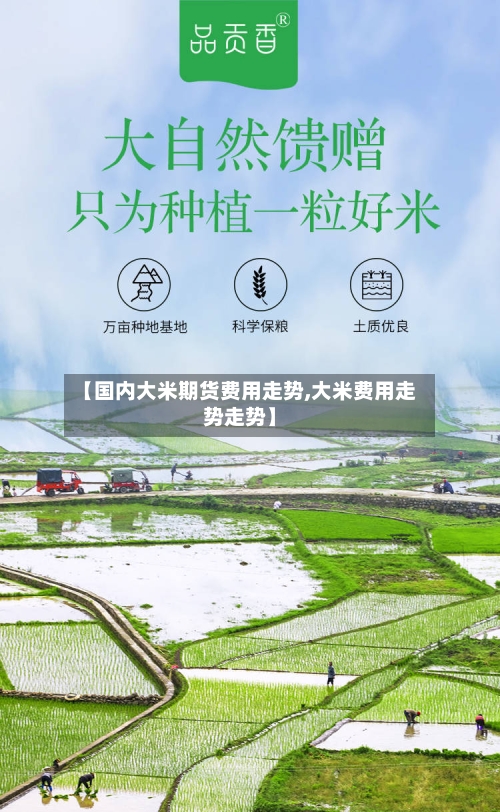 【国内大米期货费用走势,大米费用走势走势】