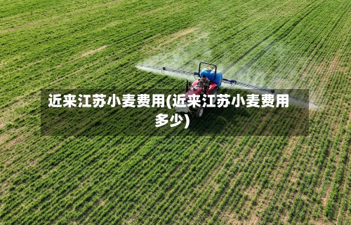 近来江苏小麦费用(近来江苏小麦费用多少)