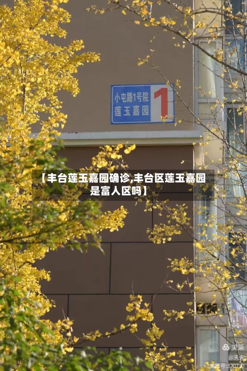 【丰台莲玉嘉园确诊,丰台区莲玉嘉园是富人区吗】-第2张图片
