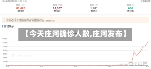 【今天庄河确诊人数,庄河发布】