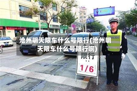 沧州明天限车什么号限行(沧州明天限车什么号限行啊)